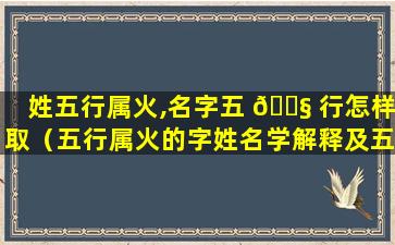 姓五行属火,名字五 🐧 行怎样取（五行属火的字姓名学解释及五行属火的名字大全）